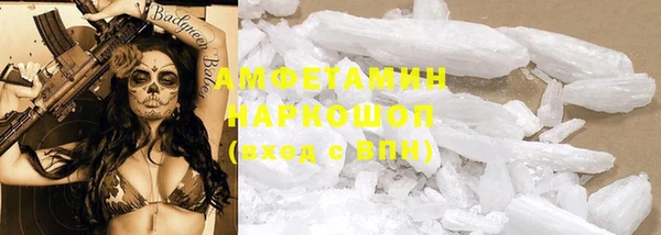 индика Переславль-Залесский