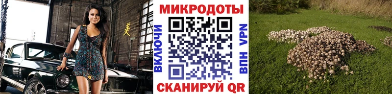 Галлюциногенные грибы ЛСД  закладки  Гдов 